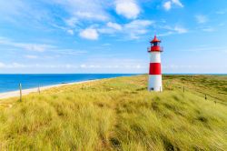 Il faro di Ellenbogen sulle dune di sabbia nella costa nord dell'isola di Sylt, Germania.



