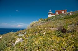 Il Faro Fenaio  si trova a nord di Giglio Campese - © Riccardo Meloni / Shutterstock.com