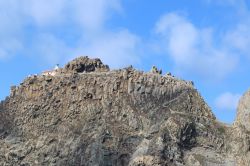 Il faro tra le rocce vulcaniche di Palmarola nel Mar Tirreno, Lazio