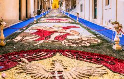 Il Festival dei Fiori a Noto, Sicilia. Una volta all'anno, la terza domenica di maggio, le strade di questa cittadina siciliana si vestono di fiori con un tripudio di colori.

