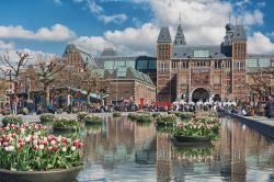 Il Festival dei Tulipani ad Amsterdam in Olanda: sullo sfondo il Rijksmuseum - © Julia700702 / Shutterstock.com