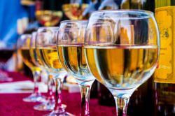 Il Festival del vino alla Fiera di Forli in Emilia-Romagna. - © Yanosh Nemesh / Shutterstock.com