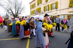 Il Festival della Mimosa lungo le strde di Tanneron in Francia  - © Marina VN / Shutterstock.com