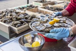 Il Festival delle Ostriche a Bouzigues in Liguadoca-Rossiglione, sud della Francia