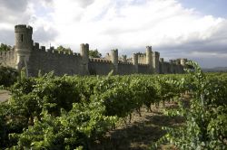 Il finto castello di Grezen vicino a Pezenas, Francia. A costeggiarne le mura sono distese di vigneti - © david muscroft / Shutterstock.com