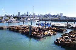 Il Fisherman Wharf a San Francisco, uno dei simboli della città della California (USA).
