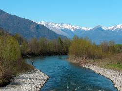 Il fiume Adda nei pressi di Morbegno Valtellina - © lsantilli / Shutterstock.com