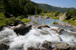 Il fiume che attraversa la Val Masino fotografato in estate, provincia di Sondrio, Lombardia.




