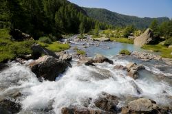 Il fiume che attraversa la Val Masino fotografato in estate, provincia di Sondrio, Lombardia.



