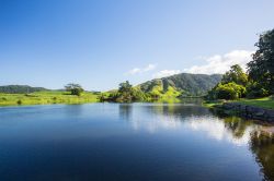 Il fiume Daintree nei pressi dell'omonima città, Australia. La natura selvaggia e rigogliosa lungo il corso d'acqua di questo parco nazionale nell'estremo nord del Queensland.



 ...