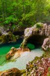 Il fiume Mostnica (Mostnice Korita) e la formazione rocciosa a forma di elefante vicino al lago di Bohinj, Slovenia.
