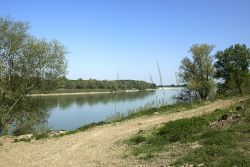 Il fiume Po nei pressi di Zibello in Emilia-Romagna