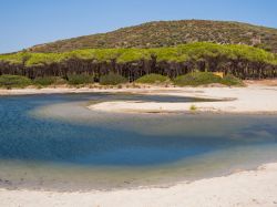 Il fiume Posada nell'omonimo Comune, Nuoro, Sardegna. Nasce alle pendici della punta di Senalonga nel territorio comunale di Alà dei Sardi.
