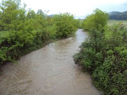 Il fiume Seveso fotografato a Cantù in Lombardia