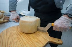 Il formaggio di fossa è il simbolo di Sogliano al Rubicone in Romagna