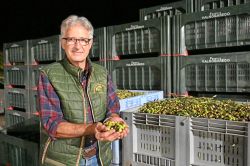 Il Frantoio Valnogaredo a Cinto Euganeo, il titolare Paolo Barbiero - Foto di Sonja Vietto Ramus