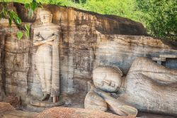 Il Gal Vihara a Polonnaruwa, Sri Lanka. Noto anche come Gal Viharaya e in origine come Uttararama, questo tempio di roccia del Biddha risale al XII° secolo. Ci sono quattro statue del Buddha: ...