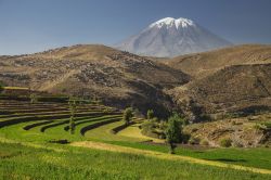 Il Giardino degli Inca e il vulcano El Misti a Arequipa, Perù. Sulla cima del vulcano una spolverata di neve.



