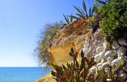 Il giardino di cactus sulla spiaggia di Armacao de Pera, Portogallo. 
