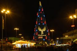 Il gigante albero di Natale illuminato di notte a Dortmund, Germania. Con i suoi 45 metri di altezza, questo immenso albero è decorato da oltre 40 mila lampadine e viene ospitato in Hansaplatz ...
