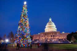 Il grande albero di Natale al Capitol di Washington D.C. negli USA - ©  Belikova Oksana / Shutterstock.com