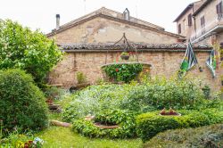 Il grazioso giardino di una casa nella medievale città di Buonconvento, Toscana.
