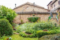 Il grazioso giardino di una casa nella medievale città di Buonconvento, Toscana.
