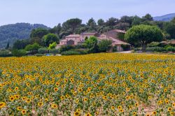 Il grazioso villaggio con chiesa di Bonnieux in Provenza, Francia. Le sue possenti mura, le chiesette antiche e le caratteristiche stradine lo rendono uno dei borghi più pittoreschi della ...