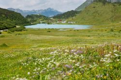 Il lago artificiale Kops a Zeinisjoch nei pressi di Galtur, Austria, con prati fioriti in primo piano. 

