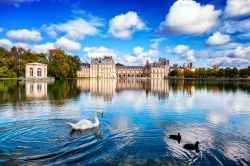 Il lago dei cigni davanti al castello di Fontainebleau, Francia.
