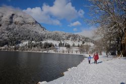 Il lago di  Bohinj, nel parco nazionale Triglav, in una mattina d'inverno, Slovenia. Lo si raggiunge proseguendo per la strada che porta al lago di Bled; la strada asfaltata finsice ...
