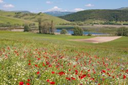 Il lago di Colfiorito in Umbria durante la stagione delle fioriture, tra giuno e luglio