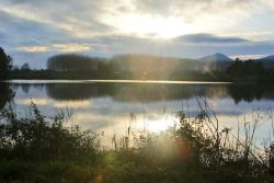 Il Lago di Falciano Campania si trova sul versante sud del Monte Massico - © RosangelaFalc / mapio.net