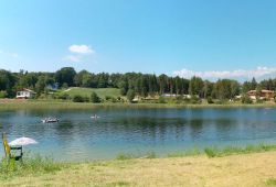 Il Lago di Lagolo nel comune di Madruzzo, uno dei laghi balneabili del Trentino. Questo bacino sorge a 950 metri sul livello del mare e ha una profondità massima di 7 metri. In primavera ...