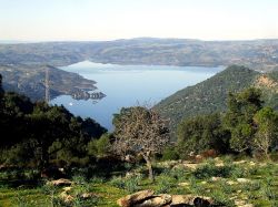 Il Lago Mulargia non lontano da Siurgus Donigala in Sardegna - © ggalleri, CC BY 3.0, Wikipedia