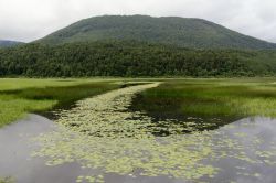 Il lago temporaneo di Cerknica, Slovenia - Conosciuto in italiano anche come palude Lugea, il lago Circonio è situato in una conca pianeggiante, caratterizzata da un terreno impermeabile, ...