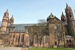 Il lato meridionale del Dom Sankt Peter di Worms, Germania. Questo imponente edificio tardo romanico, con pianta basilicale e tre navate scandite con sistema alternato, fu costruito a partire ...