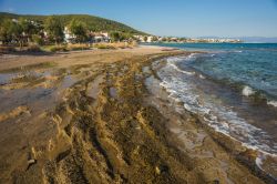 Il litorale nei pressi della città di Scala, isola di Angistri, Grecia - © siete_vidas / Shutterstock.com