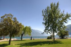 Il lungolago alberato di Riva del Garda, Trentino Alto Adige - © 141808930 / Shutterstock.com