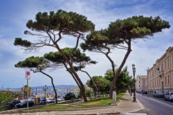 il Lungomare Falcomata a Reggio Calabria