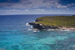 Il mare cristallino dell'isola di Guadalupe (Guadeloupe) una meta turistica che fa parte dei Territori d'Oltre Mare della Francia - © julian elliott / Shutterstock.com
