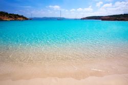 Il mare cristallino di Cala Bassa a Ibiza, Isole Baleari, Mediterraneo