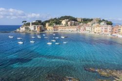 Il mare cristallino di Sestri Levante (provincia di Genova) con un tratto di spiaggia e le tipiche case colorate - © Sergio Delle Vedove / Shutterstock.com