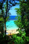 Il mare dei Caraibi che lambisce Ocho Rios, Giamaica, visto attraverso la vegetazione lussureggiante che caratterizza l'isola.




