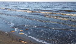 Il mare di Lido degli Estensi, una delle spiagge di Comacchio, rivera romagnola