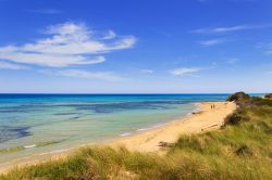 Il mare limpido delle spiagge che circondano Torre Canne in Puglia