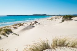 Il mare limpido e la costa sabbiosa di Porto Pino in Sardegna