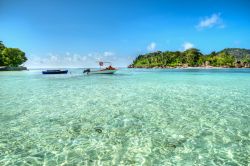 Il mare trasparente di Port Launay Beach, isola di Mahé, Seychelles.
