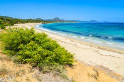 Il mare turchese di Costa Rei, la spiaggia di Peppino in Sardegna