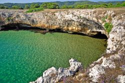 Il mare verde smeraldo della baia di Sfinale nel Gargano, costa nord della Puglia